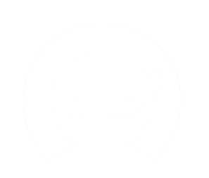 Ninjitsu Logo